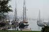Windjammers docked in Camden Harbor