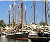 Camden Windjammer Festival