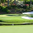Northport Golf Course