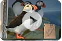 Project Puffin Visitor Center video