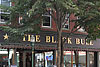 Black-bull01