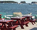 Miller's Lobster