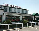 Lincolnville Lobster Pound