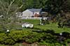 Cedar Crest Inn Property & Grounds
